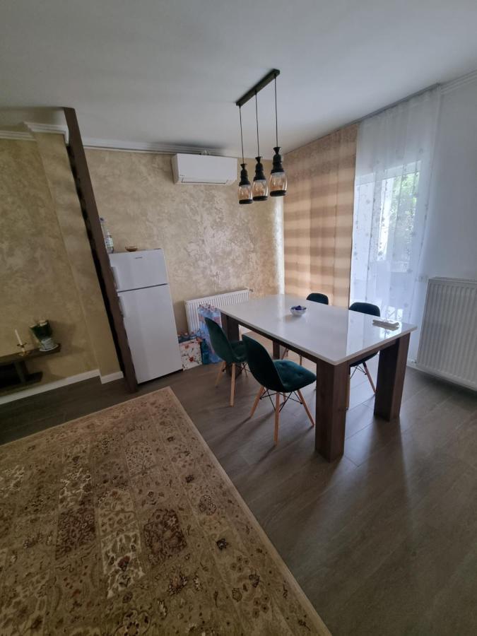 Apartament Superb In Regim Hotelier- Arad Plaza エクステリア 写真