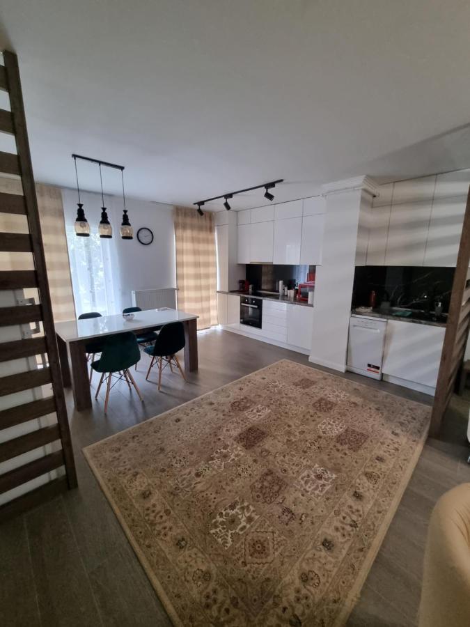 Apartament Superb In Regim Hotelier- Arad Plaza エクステリア 写真